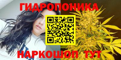 скорость Канаш