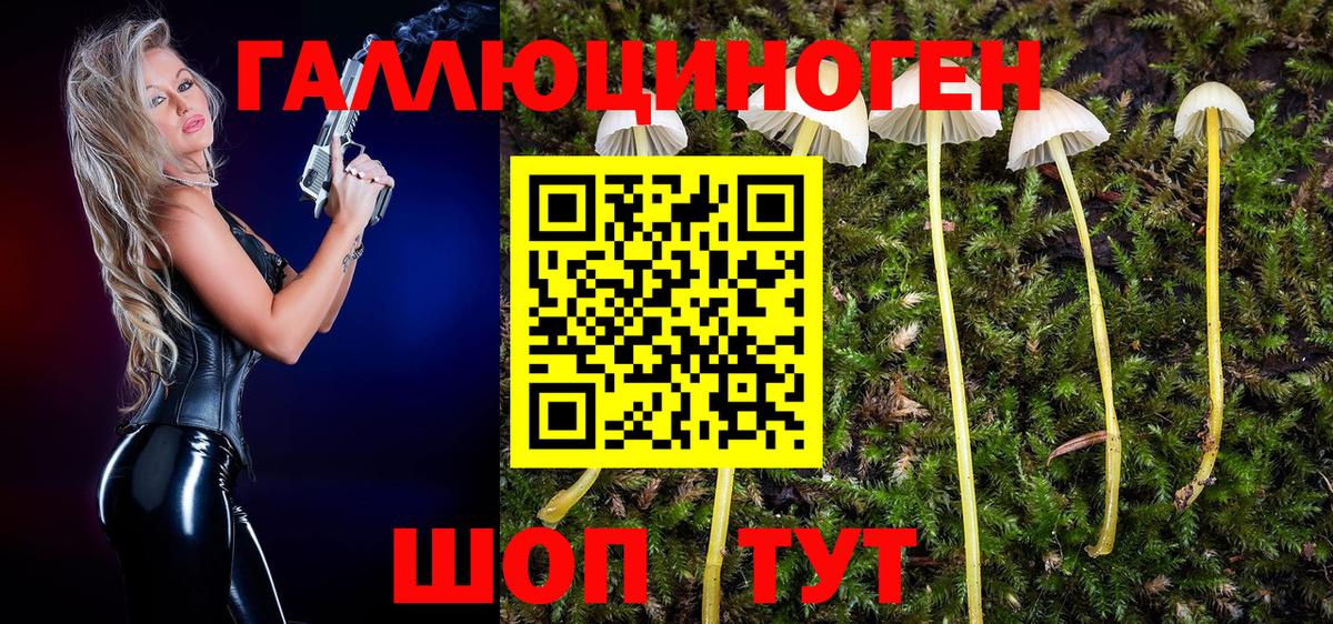 Якутск  Псилоцибиновые грибы GOLDEN TEACHER  Вход с VPN 